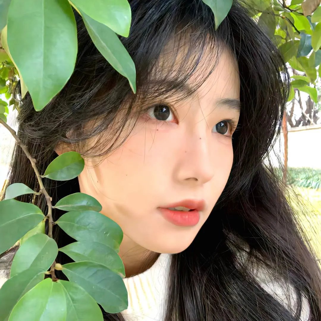 重鸟
